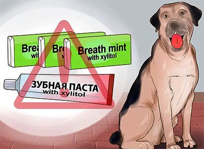 zubnaya-pasta-dlya-sobak зубная паста для собак